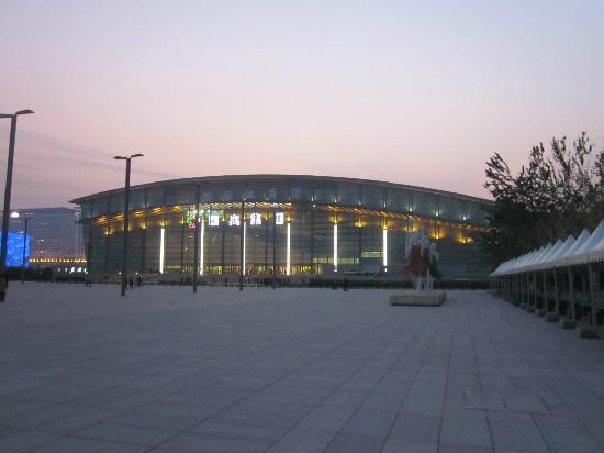 Stadium Tertutup Nasional Beijing